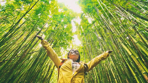 sustainable-future